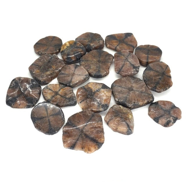 Pierres en Vrac Guérison en Chiastolite "Anti-stress & Anti-douleur"